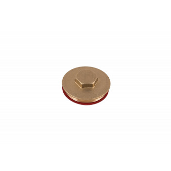 IMMERSION PLUG AND WASHER