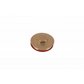 IMMERSION PLUG AND WASHER