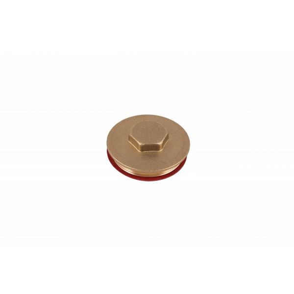 IMMERSION PLUG AND WASHER